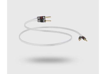 QED Silver Anniversary XT Speaker Cable