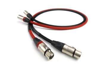 Chord Chorus Reference XLR to XLR Interconnect