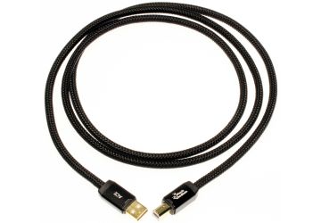 Black Rhodium ACE USB Cable